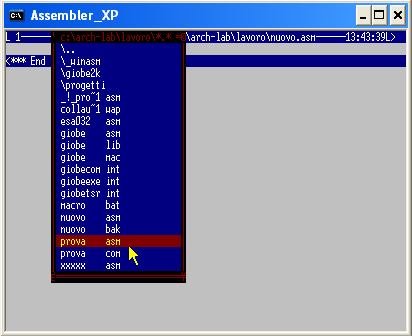 Qedit con XP o Vista - assunzione di ASM in un nuovo file