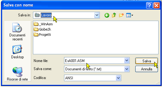 Copiare un sorgente ASM in Notepad - 06