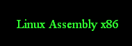 Segnalato da Linux Assembly x86