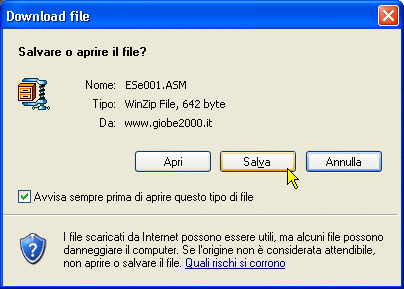 Scaricare un sorgente ASM: con Win XP con protezione